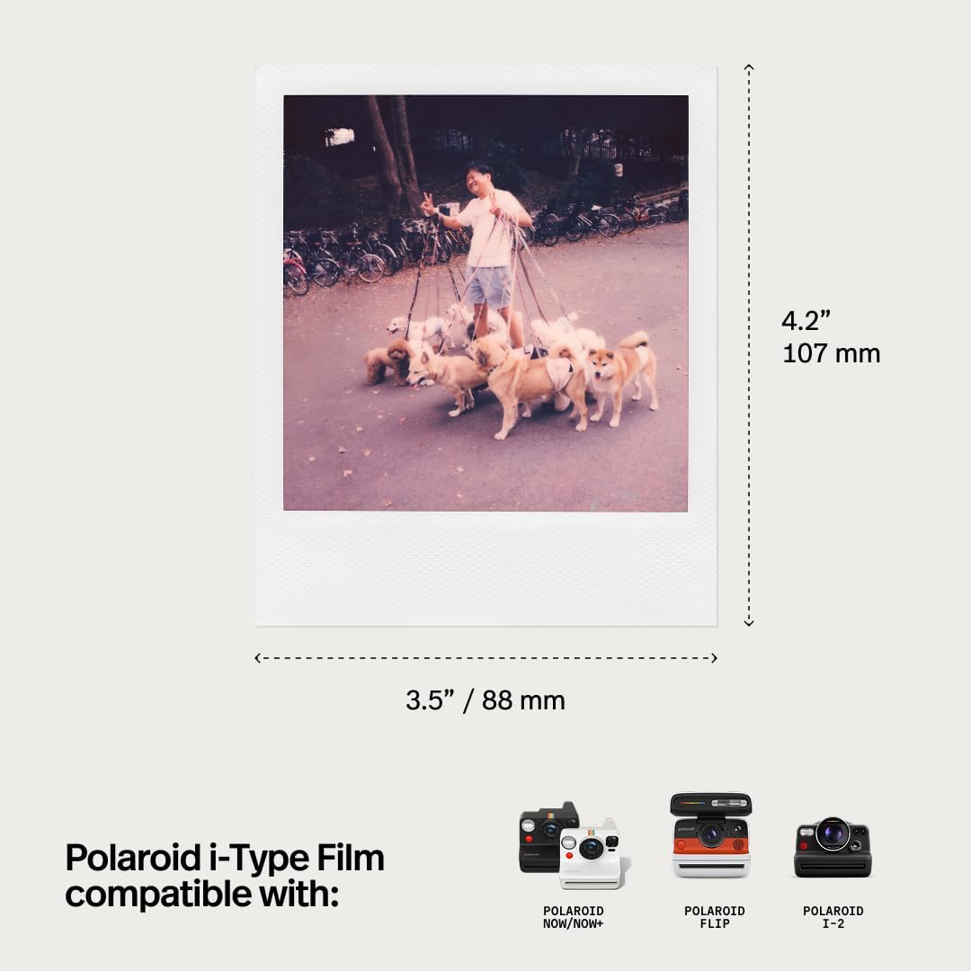 Polaroid - Image 6